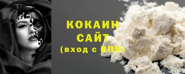 прущие грибы Аркадак