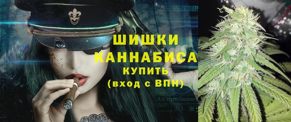 прущие грибы Аркадак