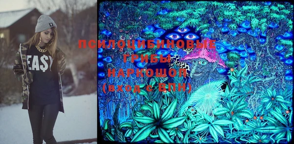 прущие грибы Аркадак