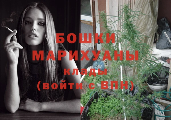 прущие грибы Аркадак