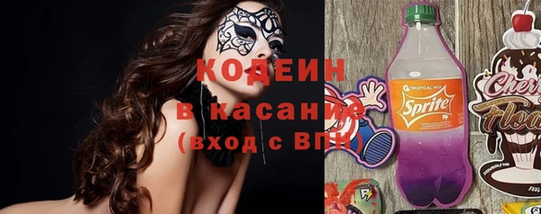 прущие грибы Аркадак